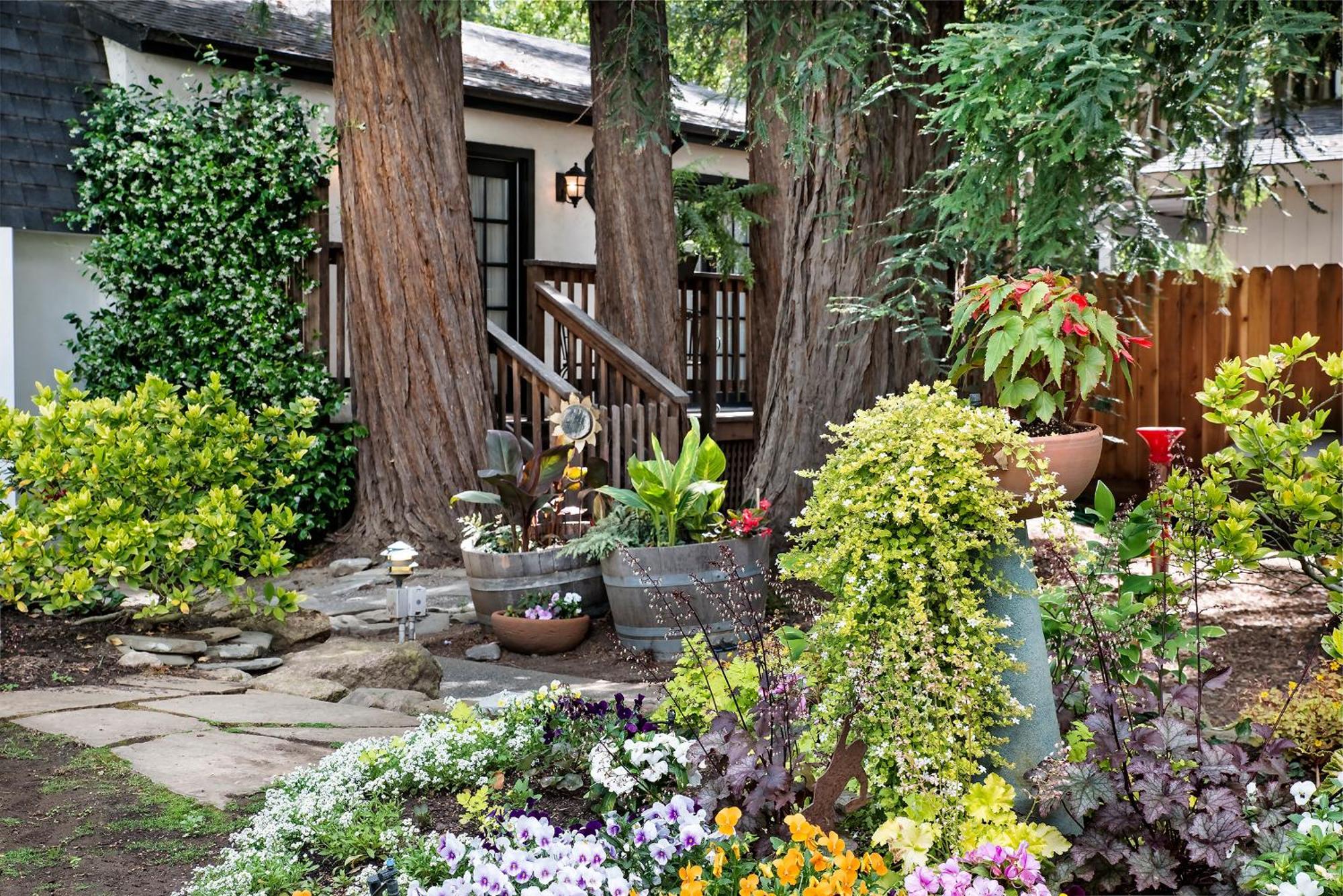 Candlelight Valley 5* Napa